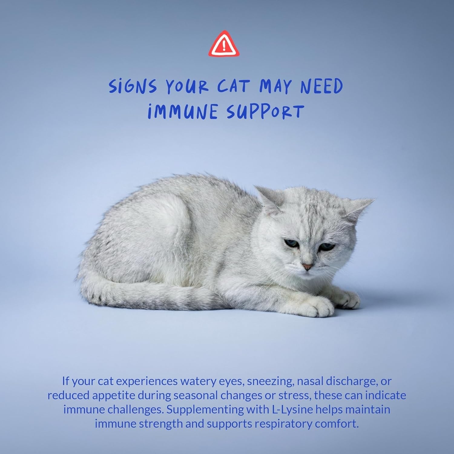L-Lysine Supplement for Cats 900Mg/Scoop - Cat Supplement for Sneezing and Runny Nose, Cold, Immune Support, Eye Function, and Respiratory Health – Lysine Powder