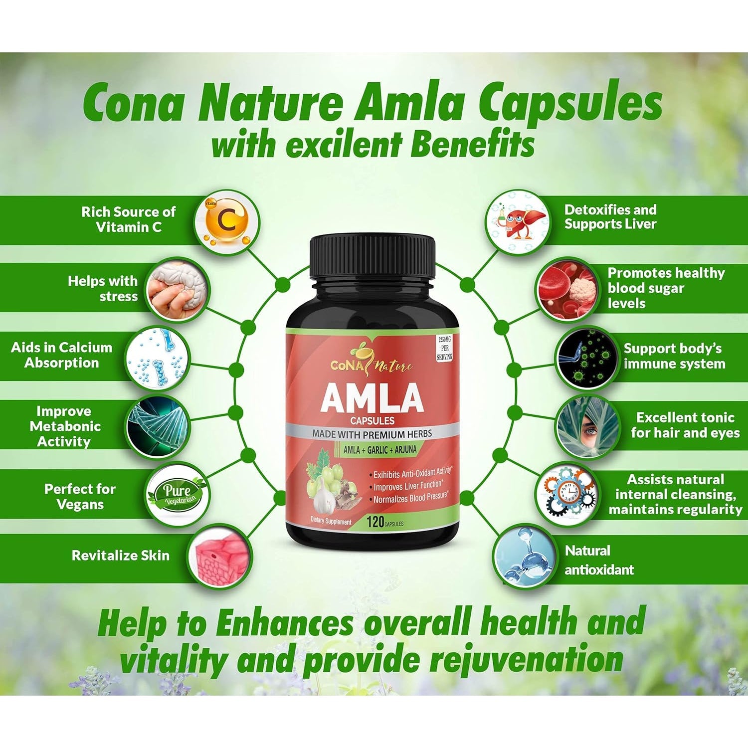 Organic Amla Capsules 2250Mg & Arjuna, Garlic |Natural Vitamin C Supplements, High Antioxidants, Rejuvenator |Supports Immunity, Energy Booster |Gluten Free Vegan India Amalaki Extract Fruit, 120 Caps