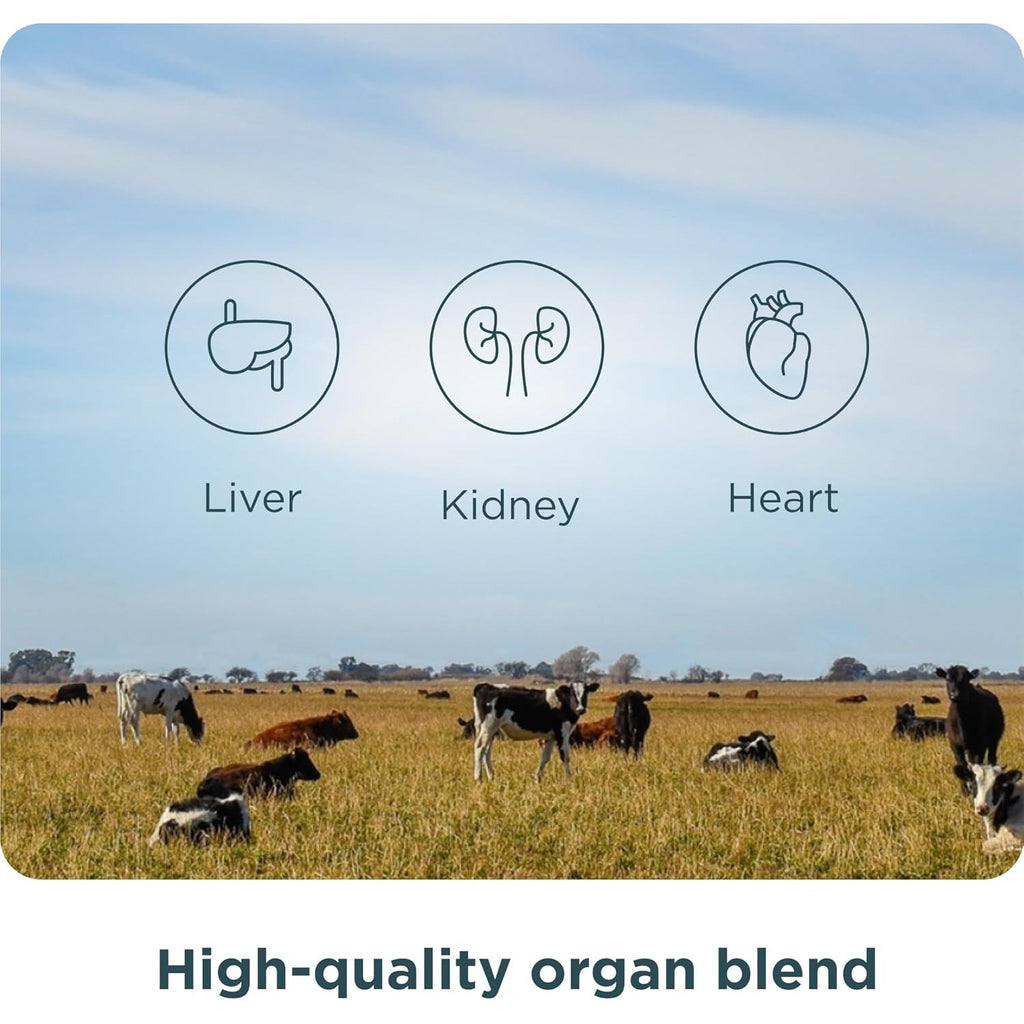 Ancient Nutrition Organ Supplements, Grass-Fed and Wild Organ Complex Capsules, Liver, Heart, Kidney Supports Organ, Cognitive, and Immune System Health, 180 Ct