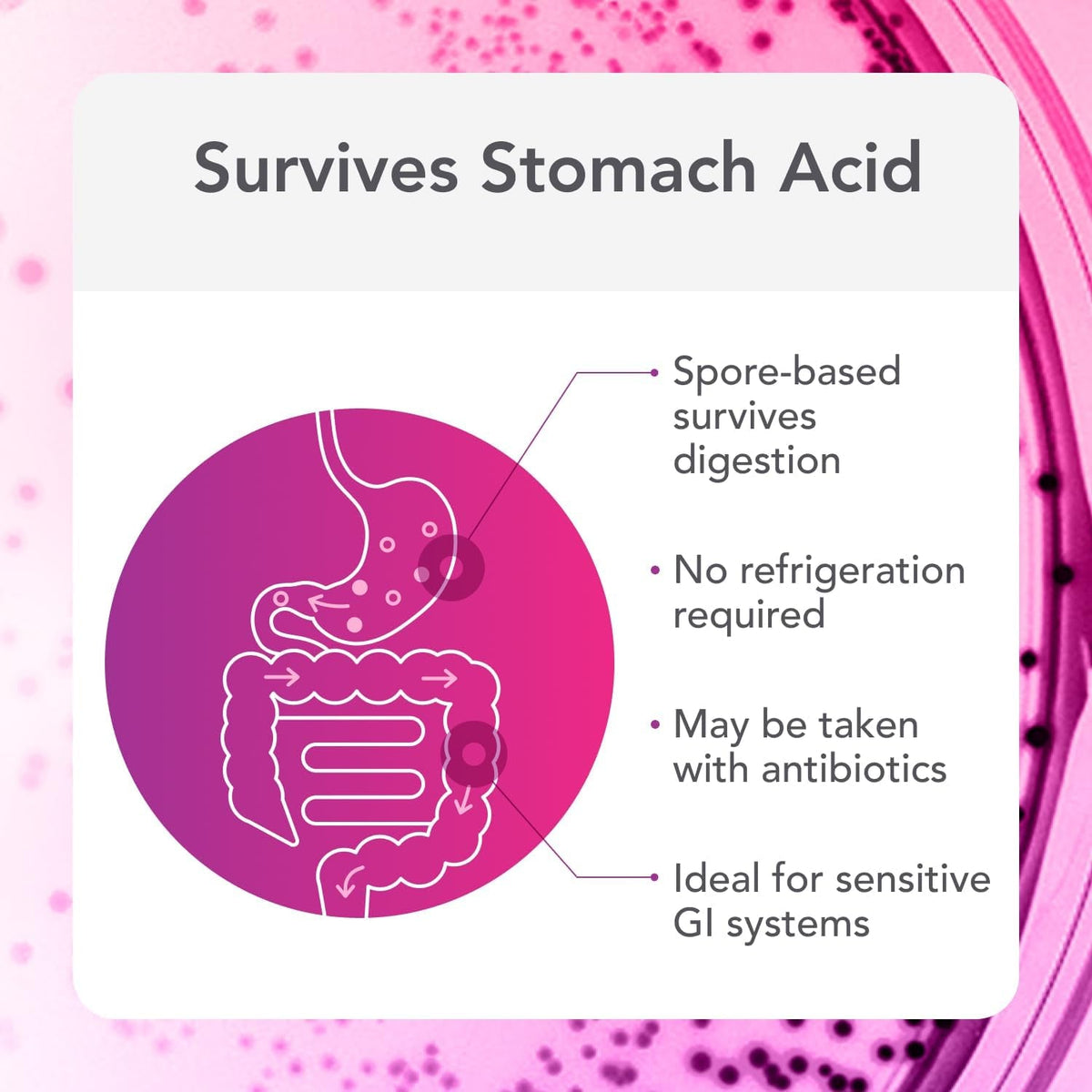 Biocidin Proflora 4R Spore Probiotic - Digestive Health Probiotics for Women & Men - Clinically Researched Bacillus Strains & Organic Aloe, Marshmallow Root for Gut Support (30 Vegan Capsules)