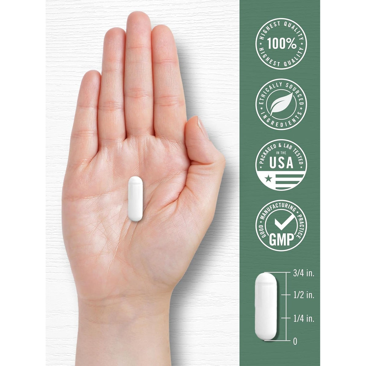 Carlyle Devils Claw Herbal Supplement | 200 Capsules | Non-Gmo & Gluten Free Formula