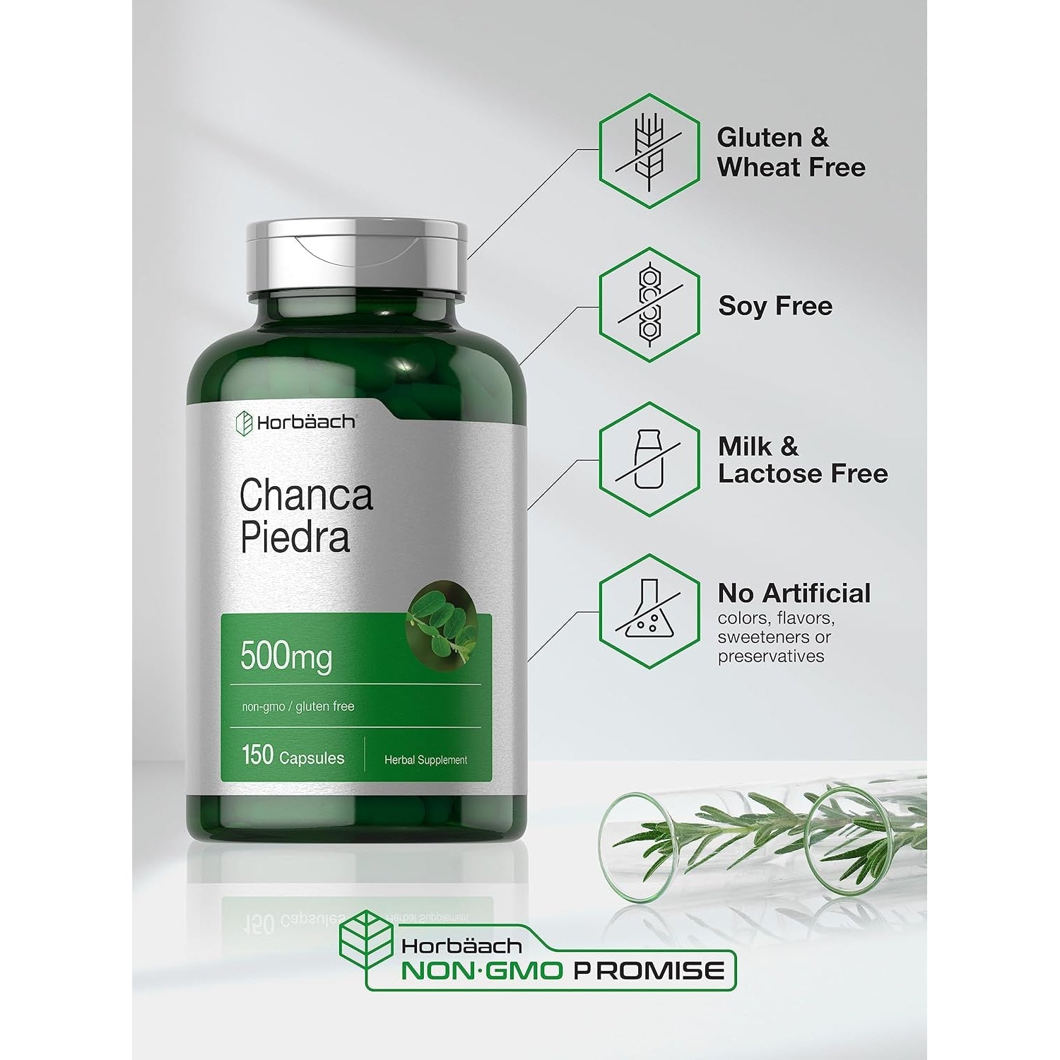 Horbäach Chanca Piedra Capsules | 500Mg | 150 Count | Non-Gmo and Gluten Free Herbal Supplement
