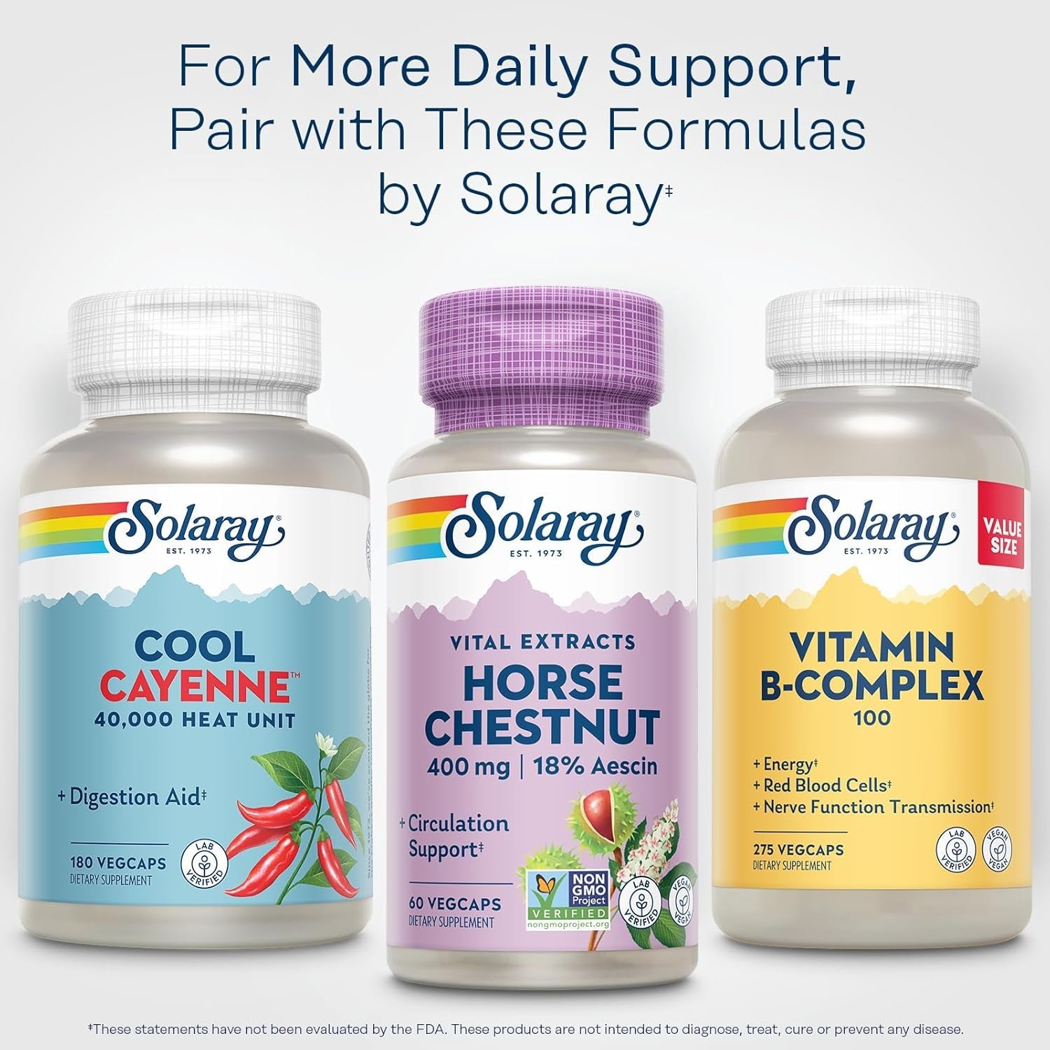 Solaray Horse Chestnut Extract 400 Mg - Standardized to 72 Mg Aescin - with 55 Mg of Butchers Broom - Vein and Blood Circulation Supplements - Vegan, Non-Gmo, 60-Day Guarantee, 60 Servings, 60 Vegcaps