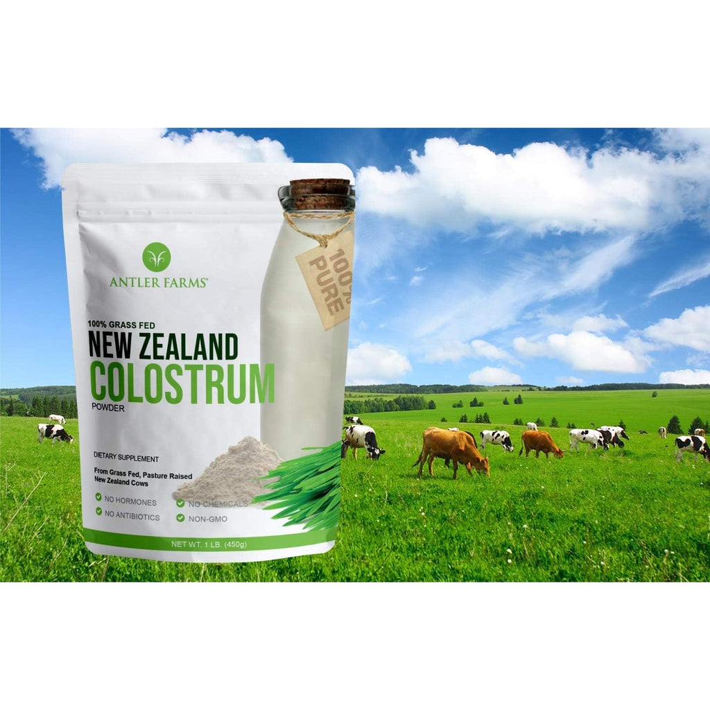 Antler Farms 100% Pure New Zealand Colostrum, 30 Servings, 1 Lb - Grass Fed, Pasture Raised, Clean Sourced, Cold Processed, Undiluted, High Igg Content