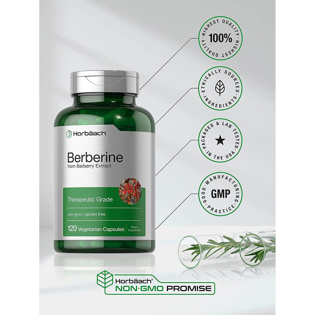 Horbaach Berberine HCL Supplement | 500Mg | 120 Capsules | from Barberry Extract | Therapeutic Grade | Vegetarian, Non-Gmo, Gluten Free