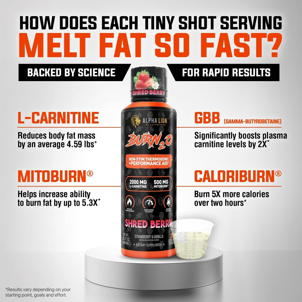 ALPHA LION Burn2O L-Carnitine Liquid 2000Mg, Premium Liquid Fat Burner & Pre-Workout Supplement for Men & Women - Natural Energy & Metabolism Booster for Weight Loss - Shredberry