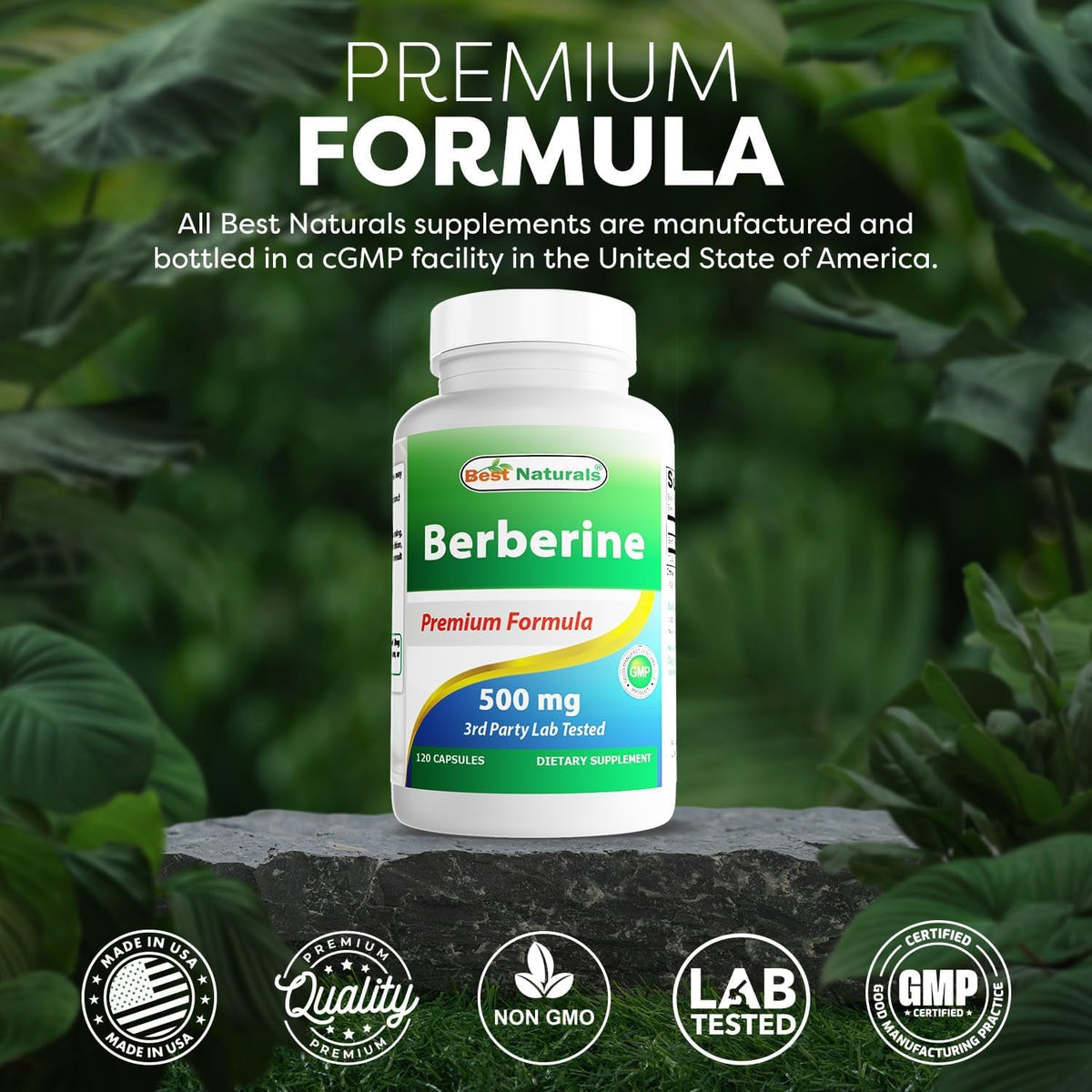 Best Naturals Berberine 500Mg 120 Capsules - Supports Immune Function, Cardiovascular & Gastrointestinal Function (120 Count (Pack of 1))