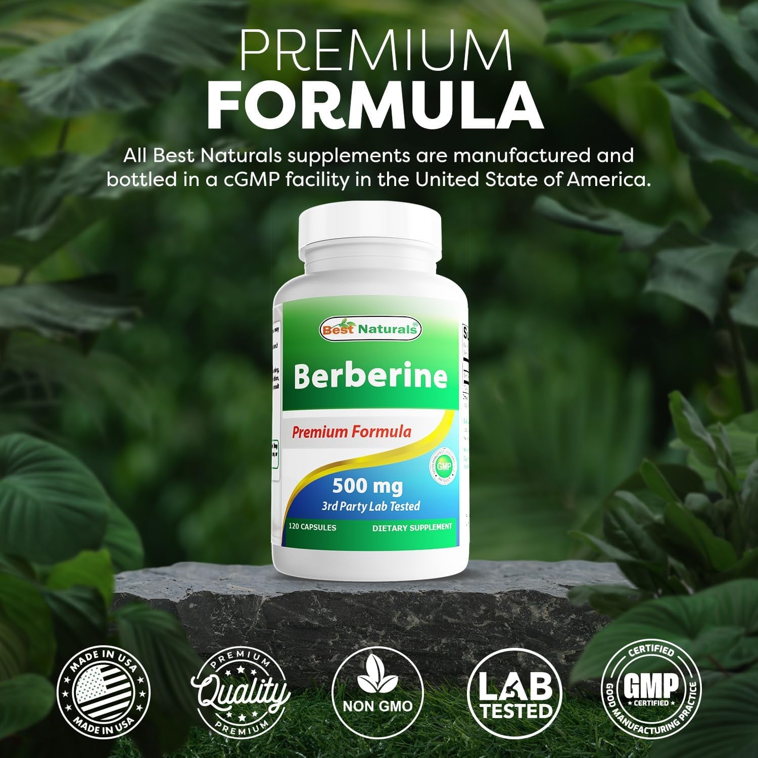 Best Naturals Berberine 500Mg 120 Capsules - Supports Immune Function, Cardiovascular & Gastrointestinal Function (120 Count (Pack of 1))