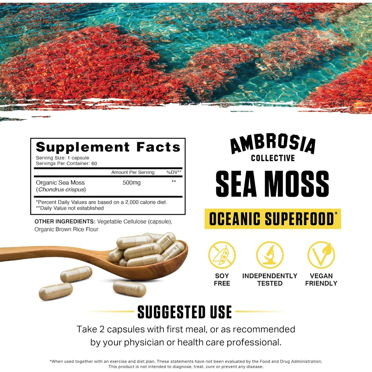 Ambrosia Organic Irish Sea Moss Capsules | Organic Sea Moss 500Mg | Rich in Iodine, Potassium & Vitamins | Thyroid, Digestion & Immune Support | 120 Veggie Capsules (60 Day Supply)