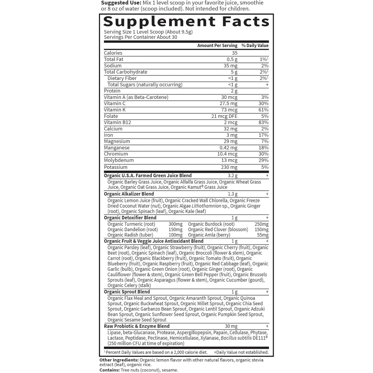 Garden of Life Raw Organic Perfect Food Alkalizer and Detoxifier, Lemon Ginger Flavored Superfood Powder Supplement, 30 Servings