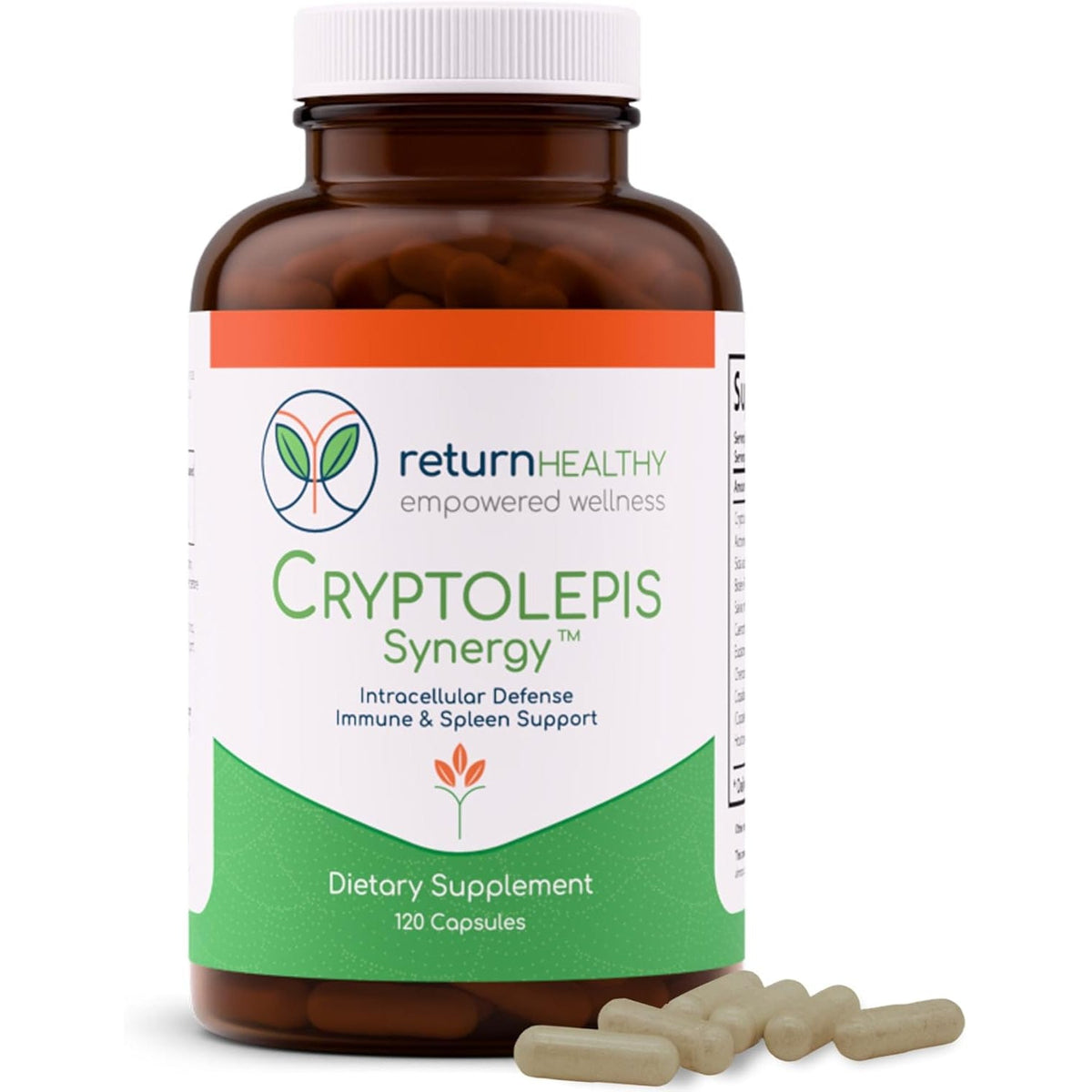 Cryptolepis Synergy, Immune Support Vitamins, Immune System Booster for Adults, Liver, Lymphatic, & Immune Support Supplement, Supports Lyme & Natural Parasite Defense, 120 Capsules