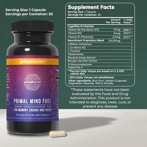 Brain Supplement by Primal Harvest, Primal Mind Fuel Brain Booster for Focus, Energy, Clarity, and Brain Health 30 Capsules Nootropics Brain Support Supplement for Men and Women