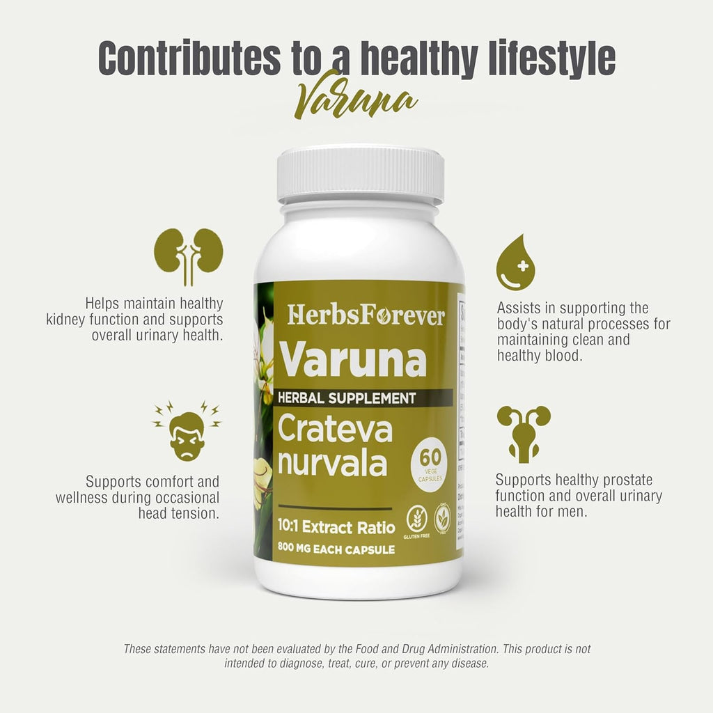 Herbsforever Varuna Nurvala Extract Capsules - Vegan & Gluten Free | Plant Based Supplement for Bladder & Kidney Function, 800 Mg per Capsules (60 Nos)