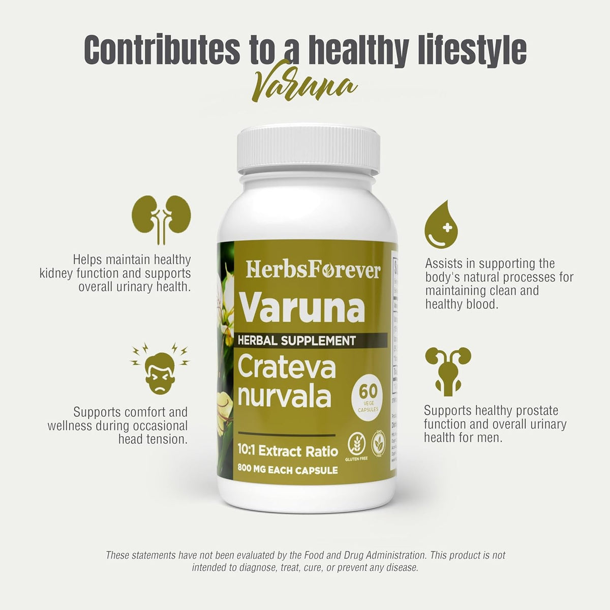 Herbsforever Varuna Nurvala Extract Capsules - Vegan & Gluten Free | Plant Based Supplement for Bladder & Kidney Function, 800 Mg per Capsules (60 Nos)