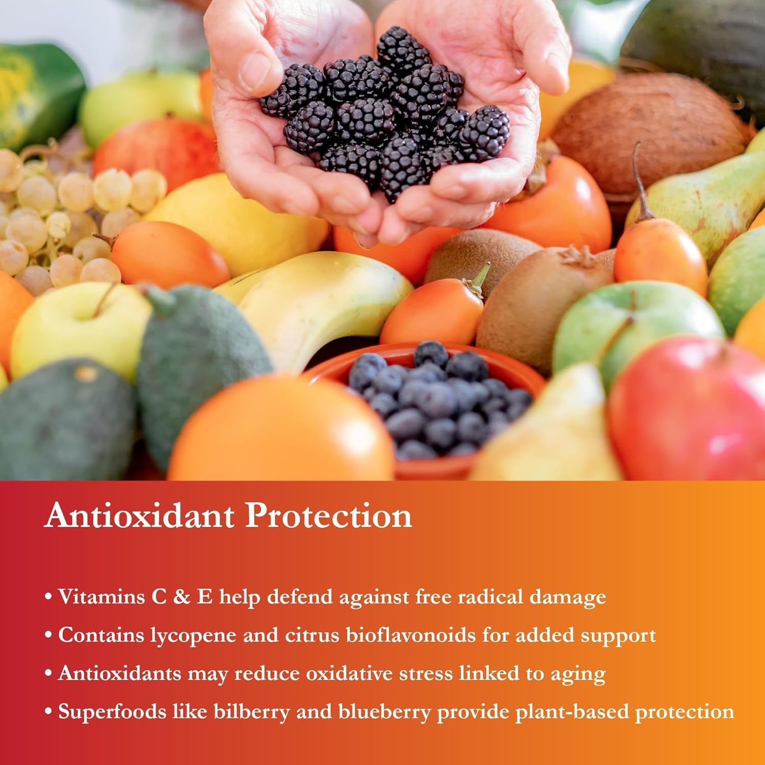 Buried Treasure Active 55 plus - 32 Serv, Liquid Multivitamin for Seniors, Vegan, Sugar-Free, Natural Immune Support, Vitamins & Super-Foods Blend