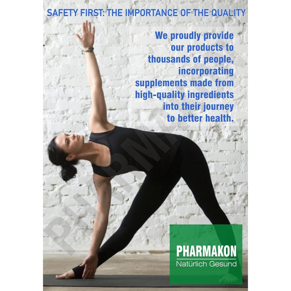 PHARMAKON Natural Nattokinase Fermented Soybean Extract, 6000 Fus per Serving