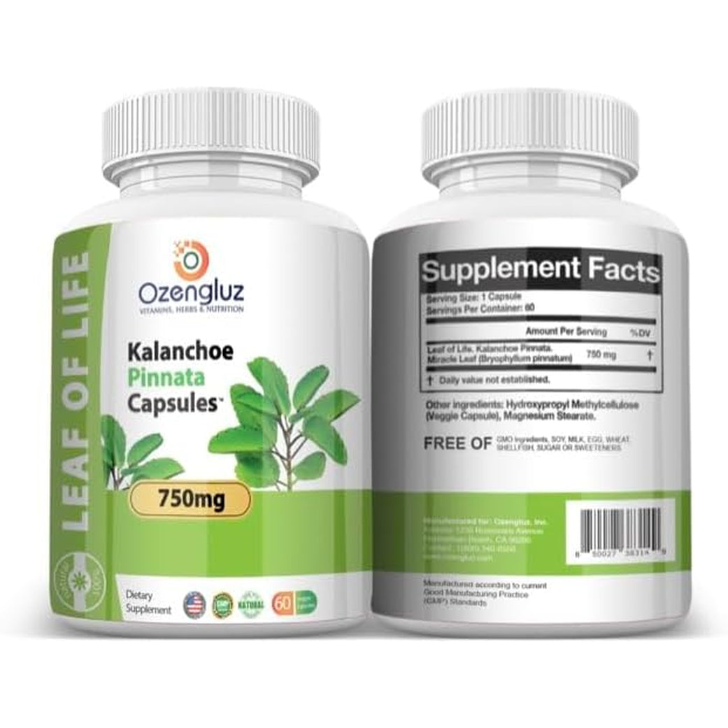 Kalanchoe Pinnata-Leaf of Life (Bryophyllum Pinnatum) 60 Cápsulas De 750Mg Bottle.