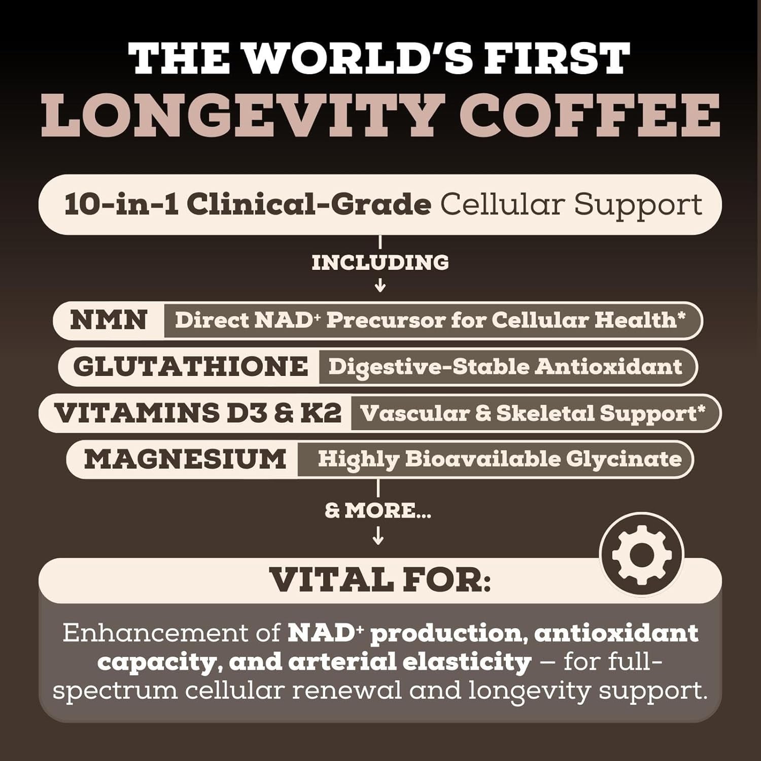 Black Forest Longevity Mix Liquid NAD+ Alternative Mocha Coffee 10-In-1 with NMN 250Mg, Glutathione 250Mg, TMG, Magnesium Glycinate, Vitamins D3 K2 C B12, High Polyphenol Cocoa, 30 Servings