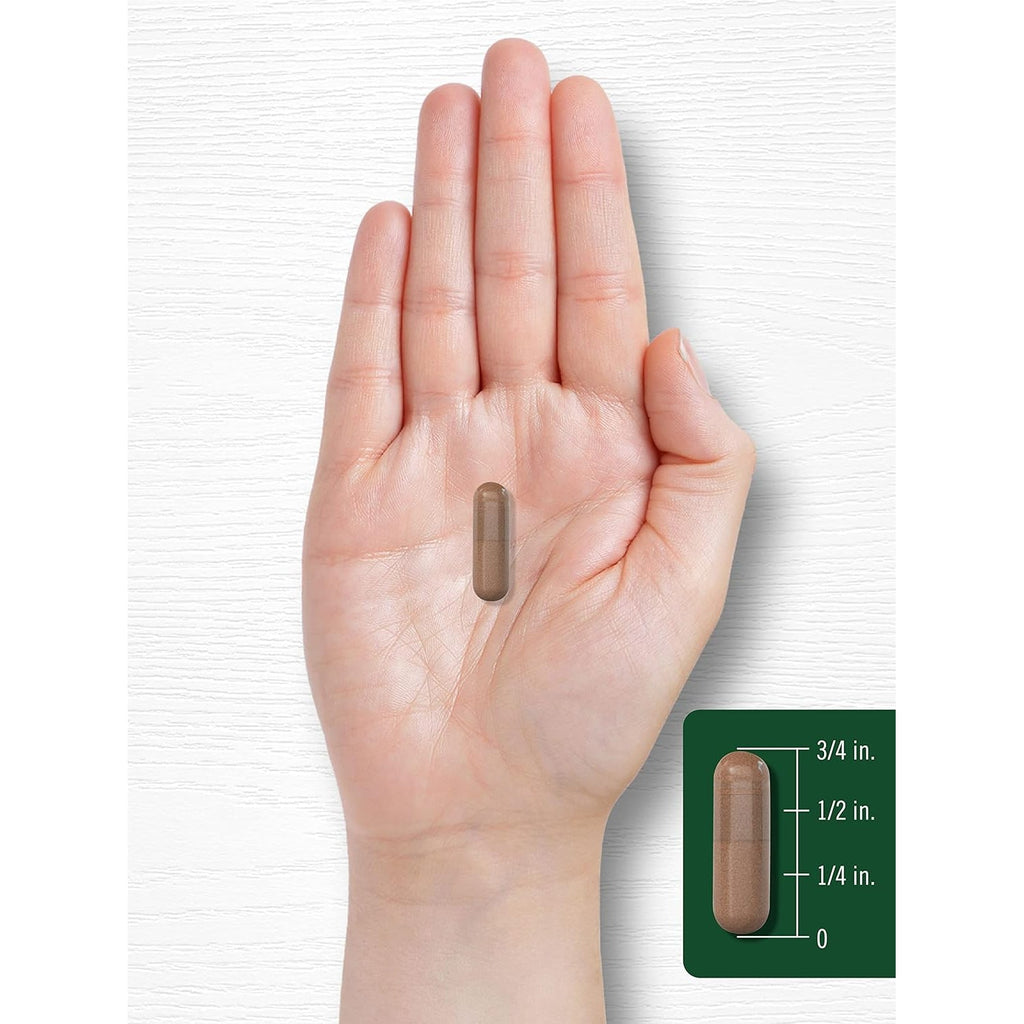 Carlyle Rose Hips | 1500Mg | 240 Quick Release Capsules | Non-Gmo and Gluten Free Herbal Supplement