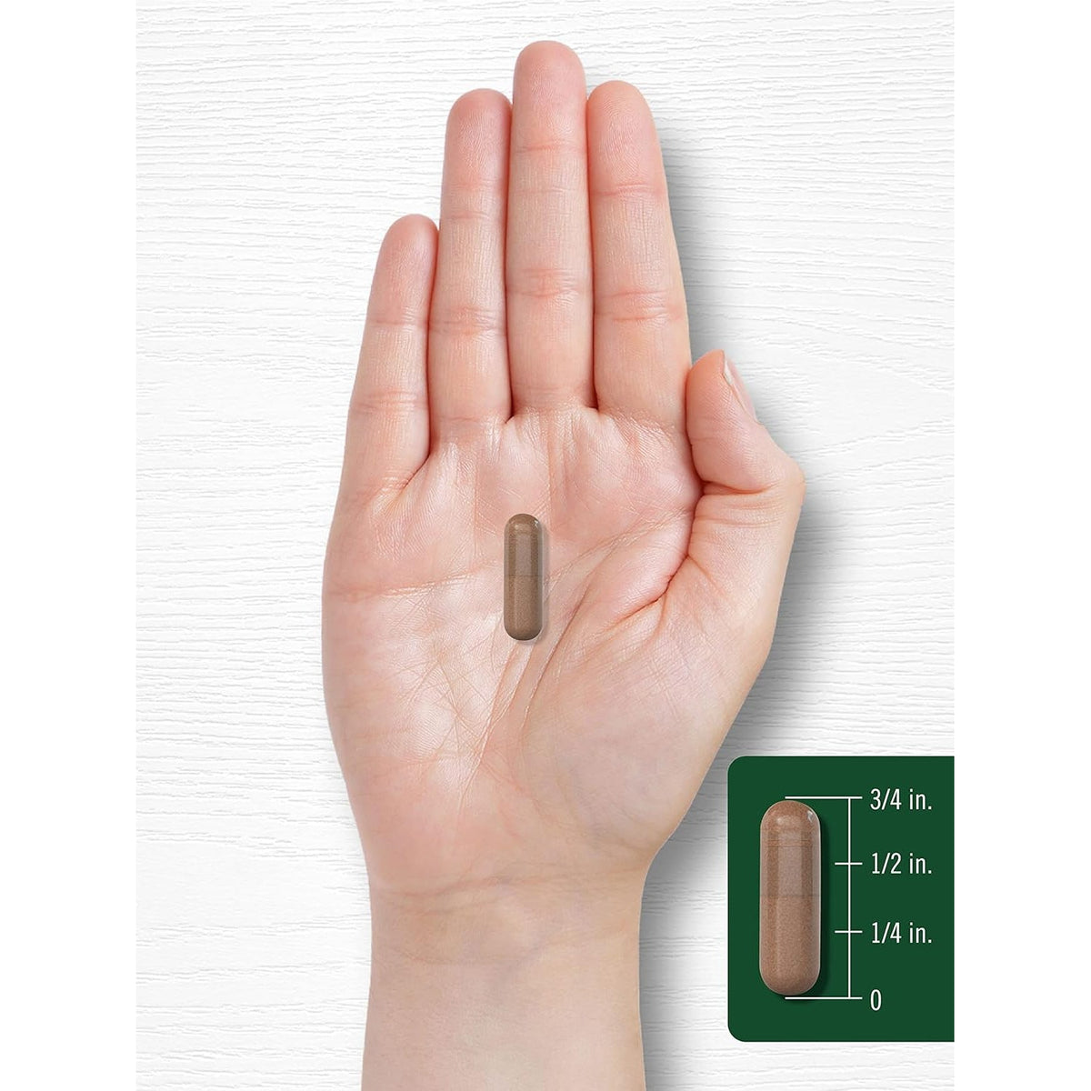Carlyle Rose Hips | 1500Mg | 240 Quick Release Capsules | Non-Gmo and Gluten Free Herbal Supplement