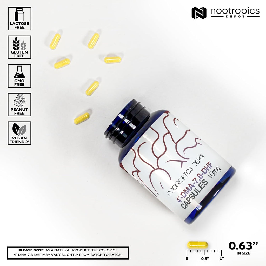 Nootropics Depot 4'-DMA-7,8-DHF Nutritional Supplement Capsules | 10Mg | 30 Count | 4'-Dma-7,8-Dihydroxyflavone