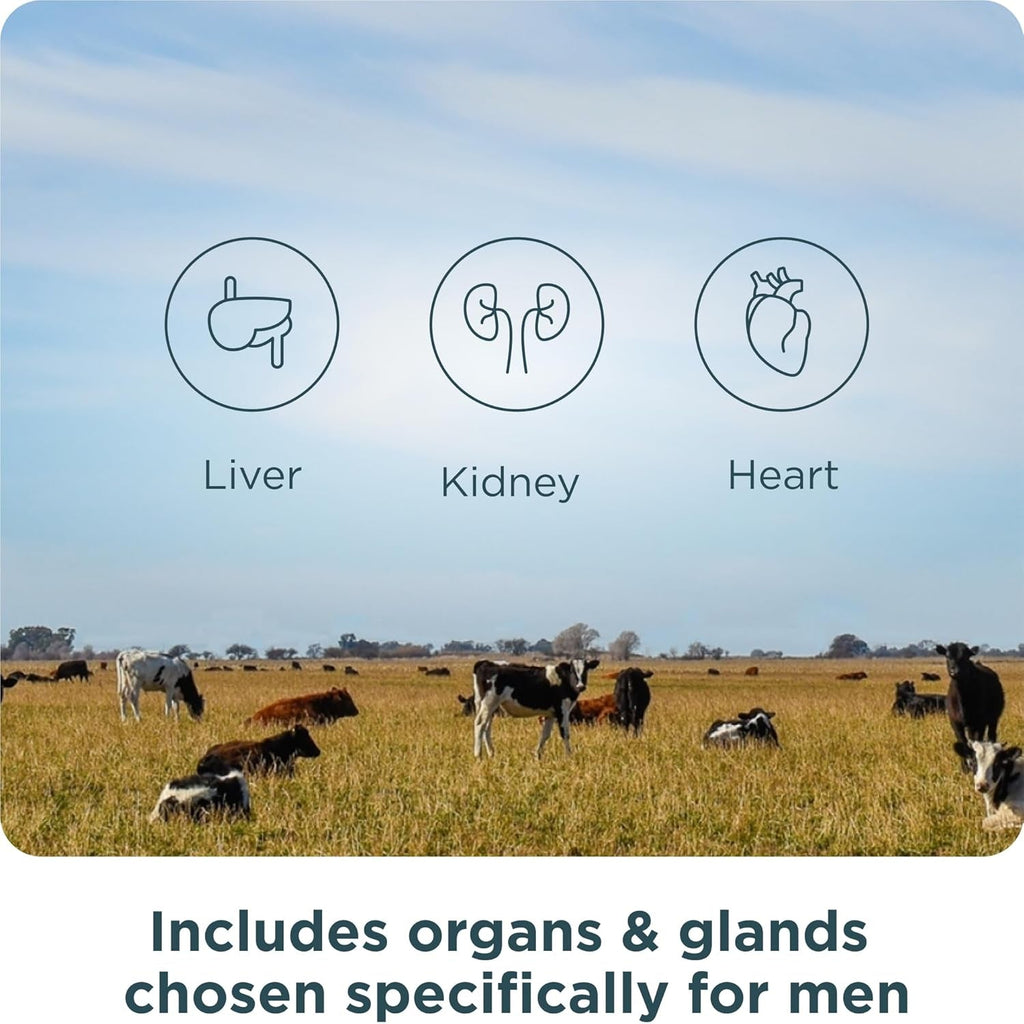 Ancient Nutrition Organ Supplements for Men, Grass-Fed and Wild Organ Complex Capsules, Liver, Prostate, Pancreas Supports Male Performance, Healthy Aging, 180 Ct