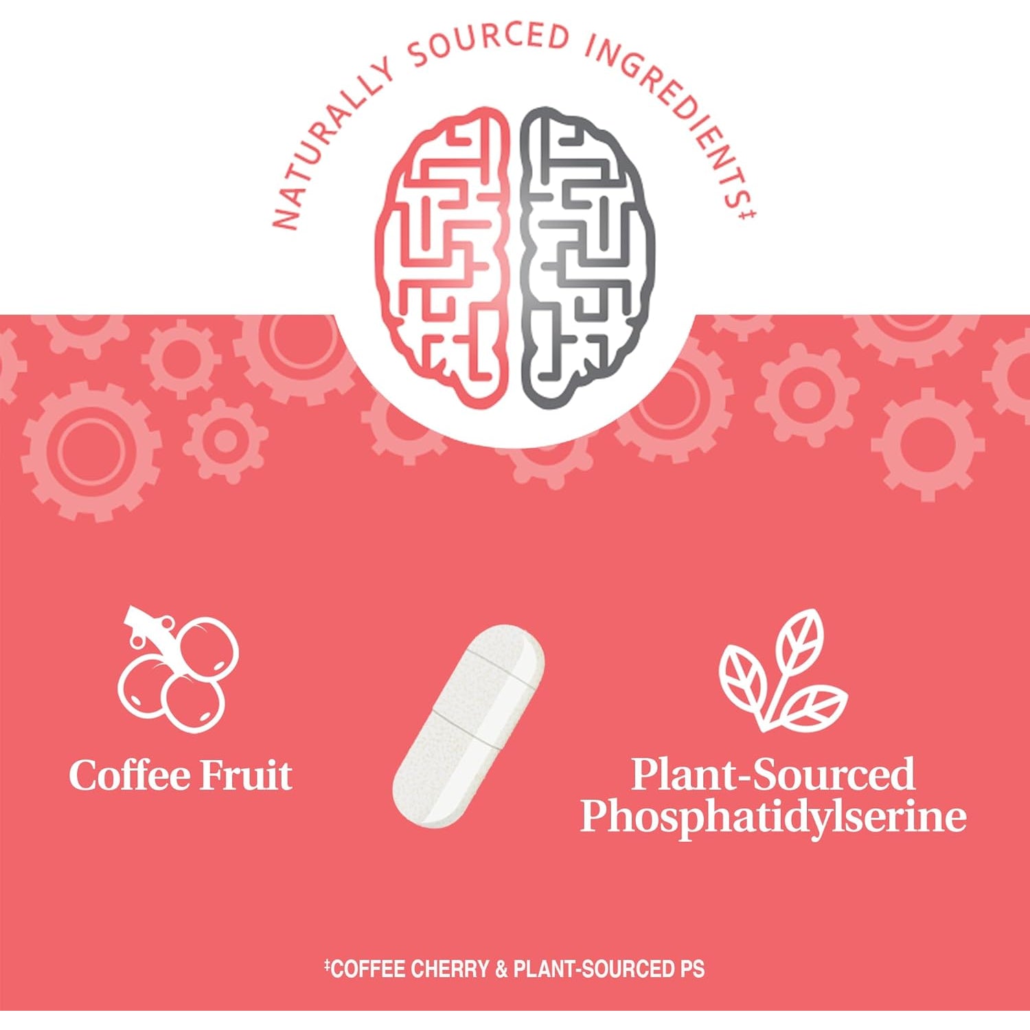 21St Century Brilliant Brain Performance Capsules, (30 Count), Cognitive Health Support, Contains Plant-Sourced Phosphatidylserine & Nootropic Coffee Fruit Extract, Decaf & Gluten Free