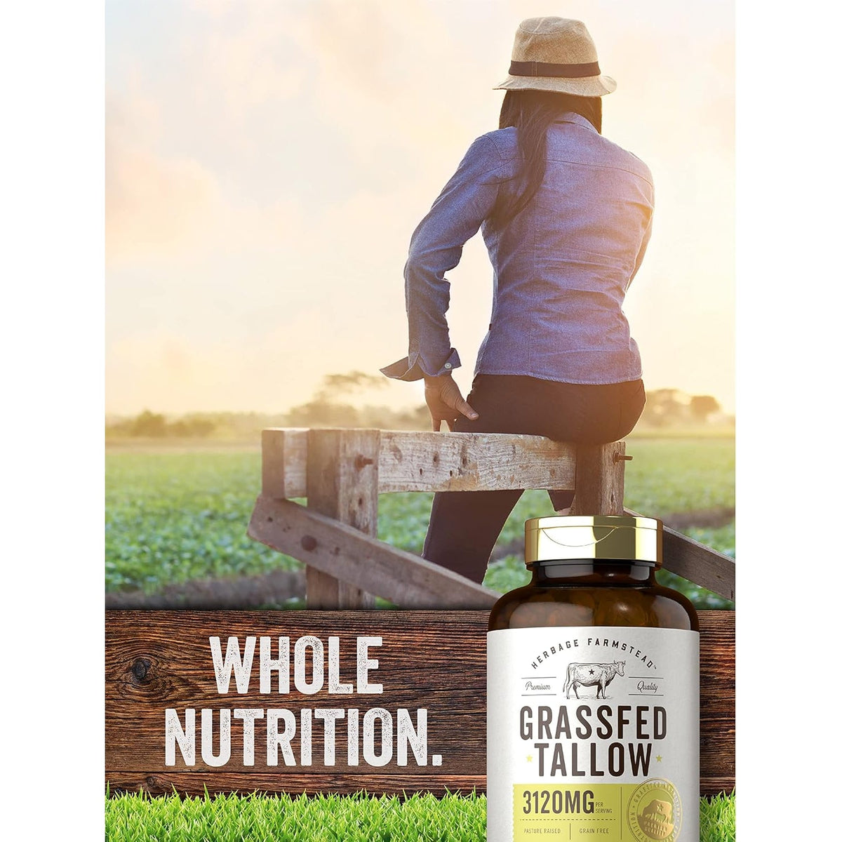 Carlyle Grass Fed Beef Tallow 3120Mg | 200 Softgel Capsules | Pasture Raised Bovine Supplement | Non-Gmo, Gluten Free | by Herbage Farmstead