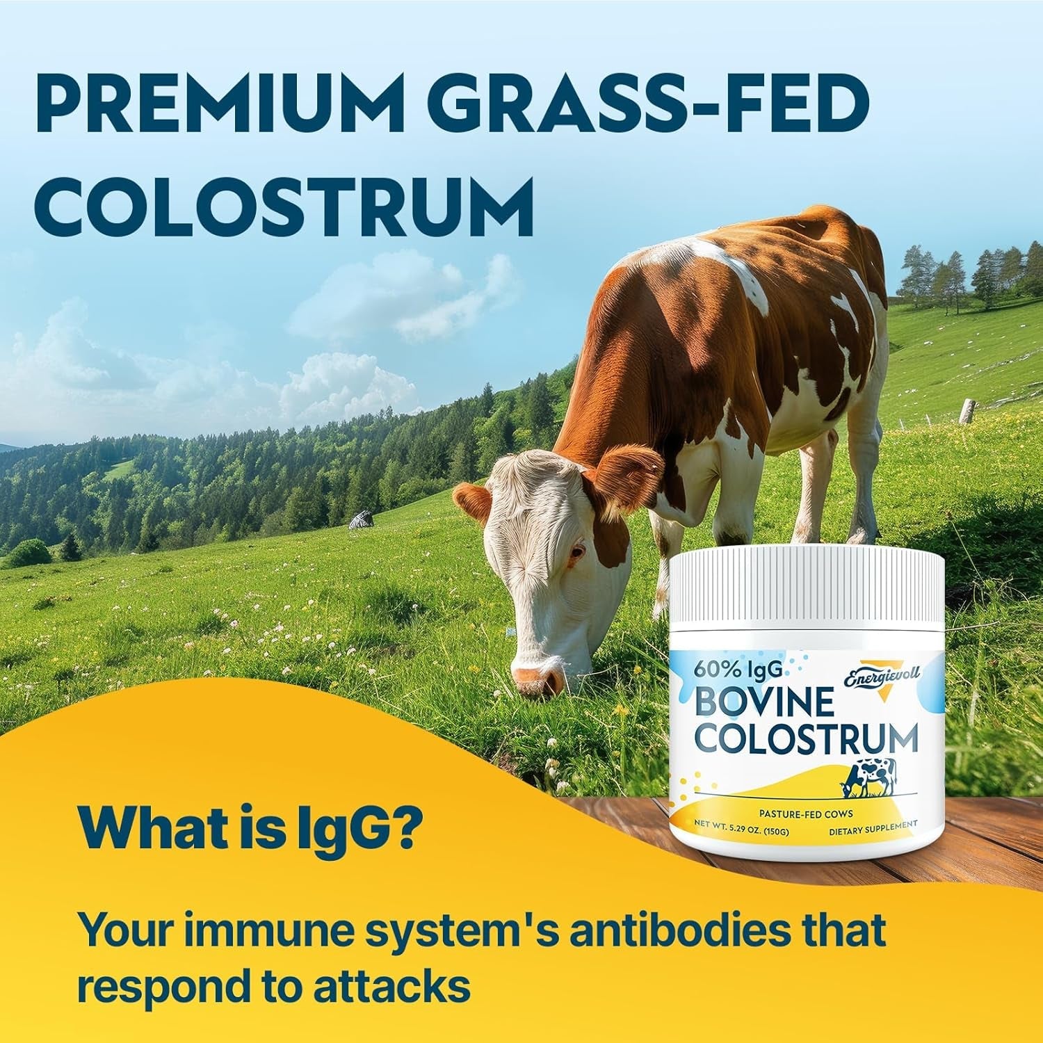 Energievoll Bovine Colostrum Supplement Powder - 60% Igg 3000 Mg for Gut, Hair Growth, Beauty, and Immune, Easy to Mix, Unflavored (50 Servings)