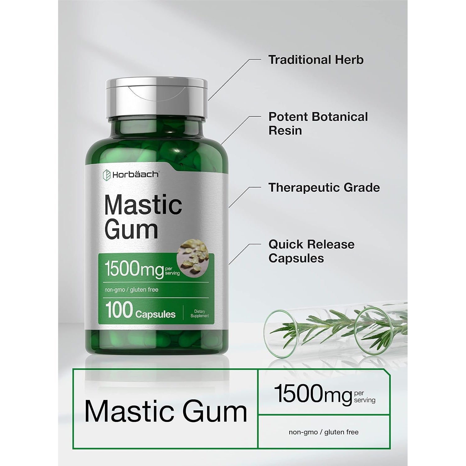Horbäach Mastic Gum | 1500Mg | 100 Capsules | Non-Gmo & Gluten Free Supplement