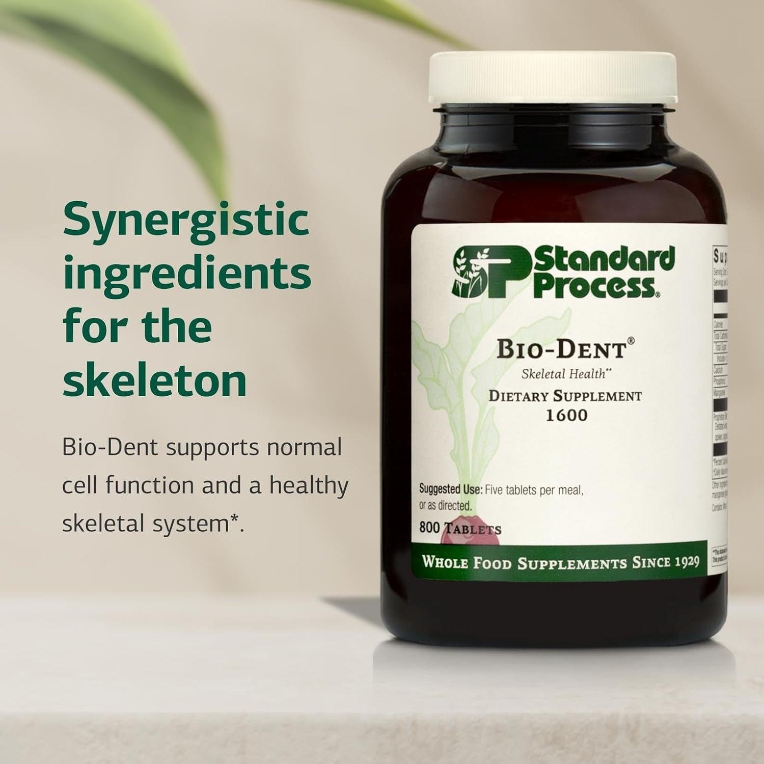 Standard Process Bio-Dent Skeletal Health Dietary Supplement - Teeth & Bone Function Support - Skeletal & Collagen Supplement - 800 Tablets
