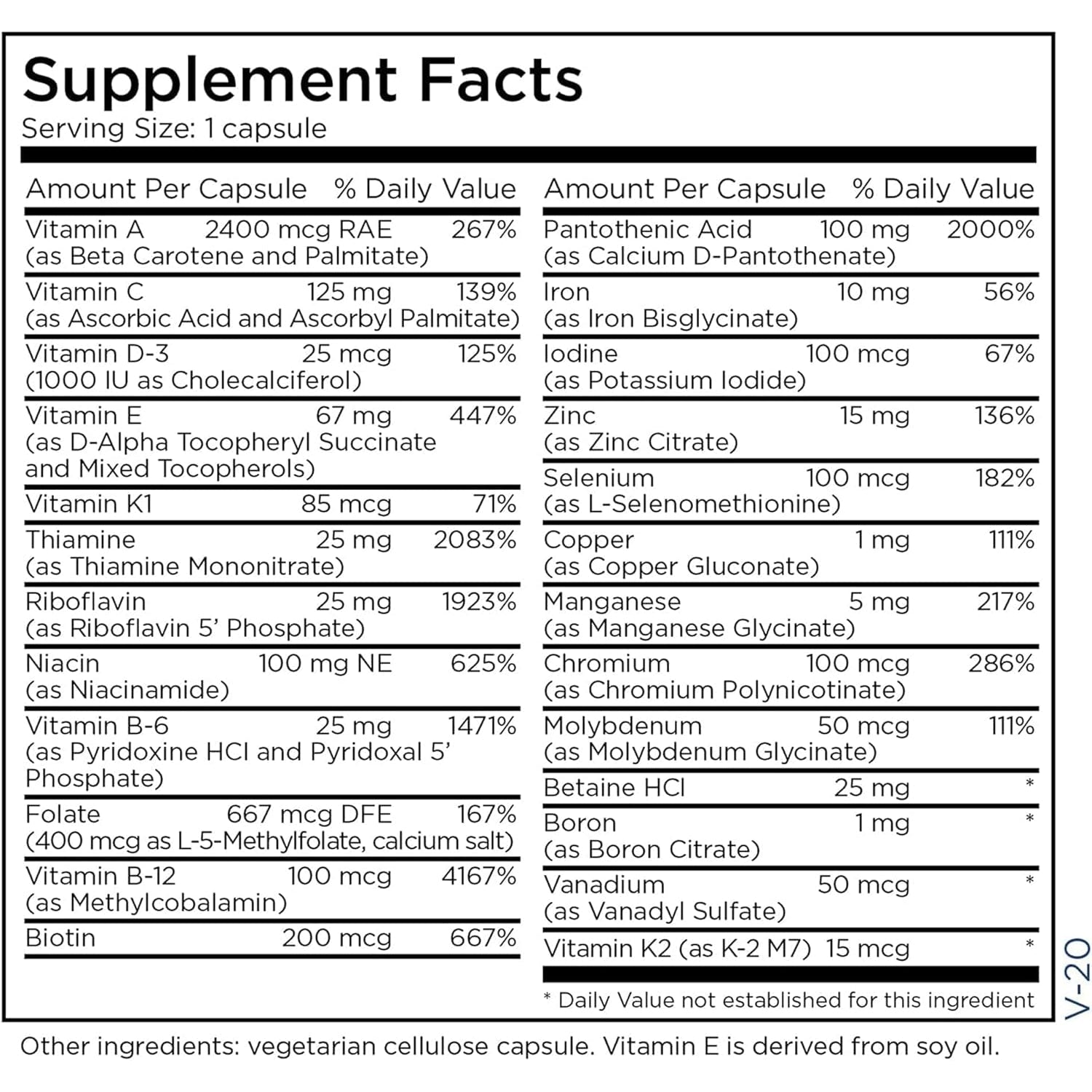 Metabolic Maintenance the Big One Multivitamin with Iron - Multivitamin for Women and Men with Vitamin A, C, E, Minerals, Methylated B Complex, Multi Vitamin - 90 Capsules