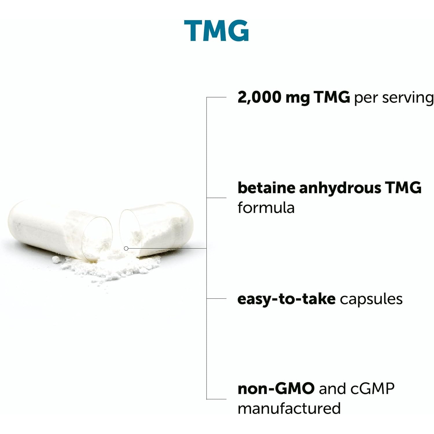 Micro Ingredients TMG 2000Mg, 240 Capsules | Double Strength Betaine Anhydrous Trimethylglycine* | Non-Gmo, Gluten Free