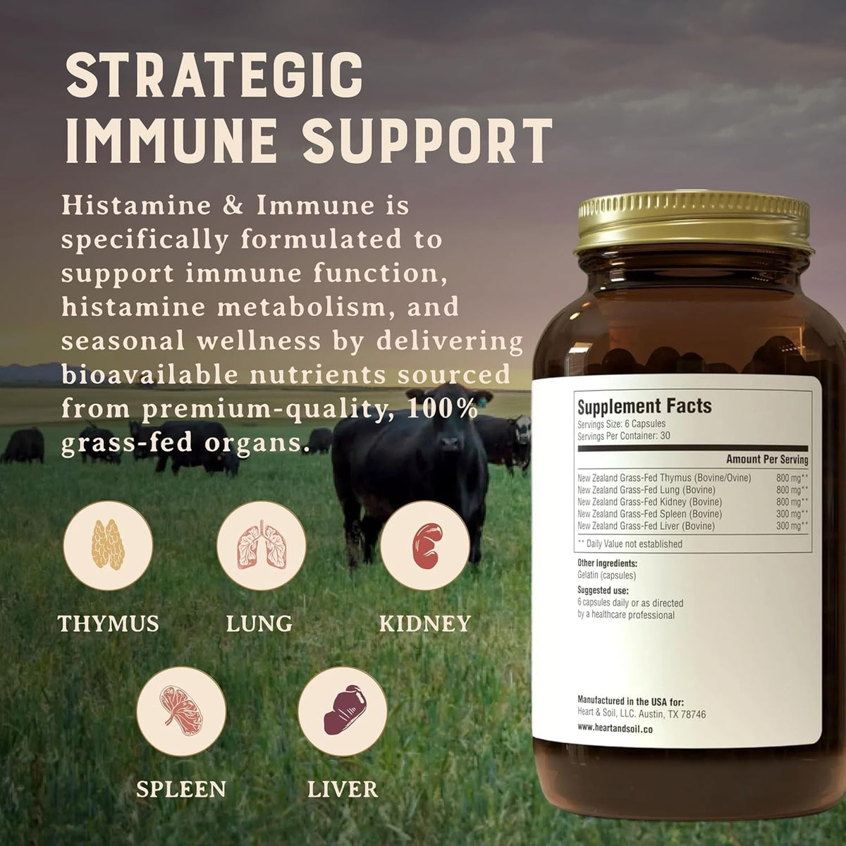 HEART & SOIL – 100% Grass Fed & Finished Histamine & Immune Support Supplement from Regenerative Cattle with Thymus, Lung, Spleen, Liver, & Kidney – Immune Defense – Glass Bottle – 180 Capsules