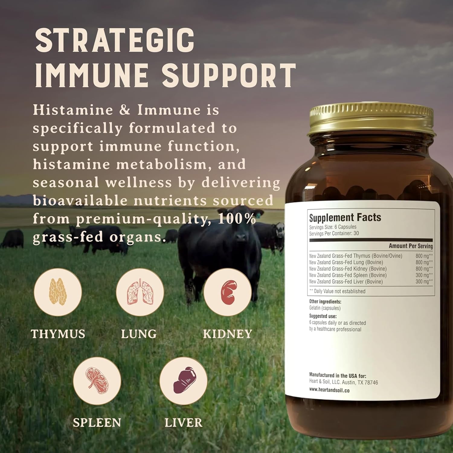 HEART & SOIL – 100% Grass Fed & Finished Histamine & Immune Support Supplement from Regenerative Cattle with Thymus, Lung, Spleen, Liver, & Kidney – Immune Defense – Glass Bottle – 180 Capsules