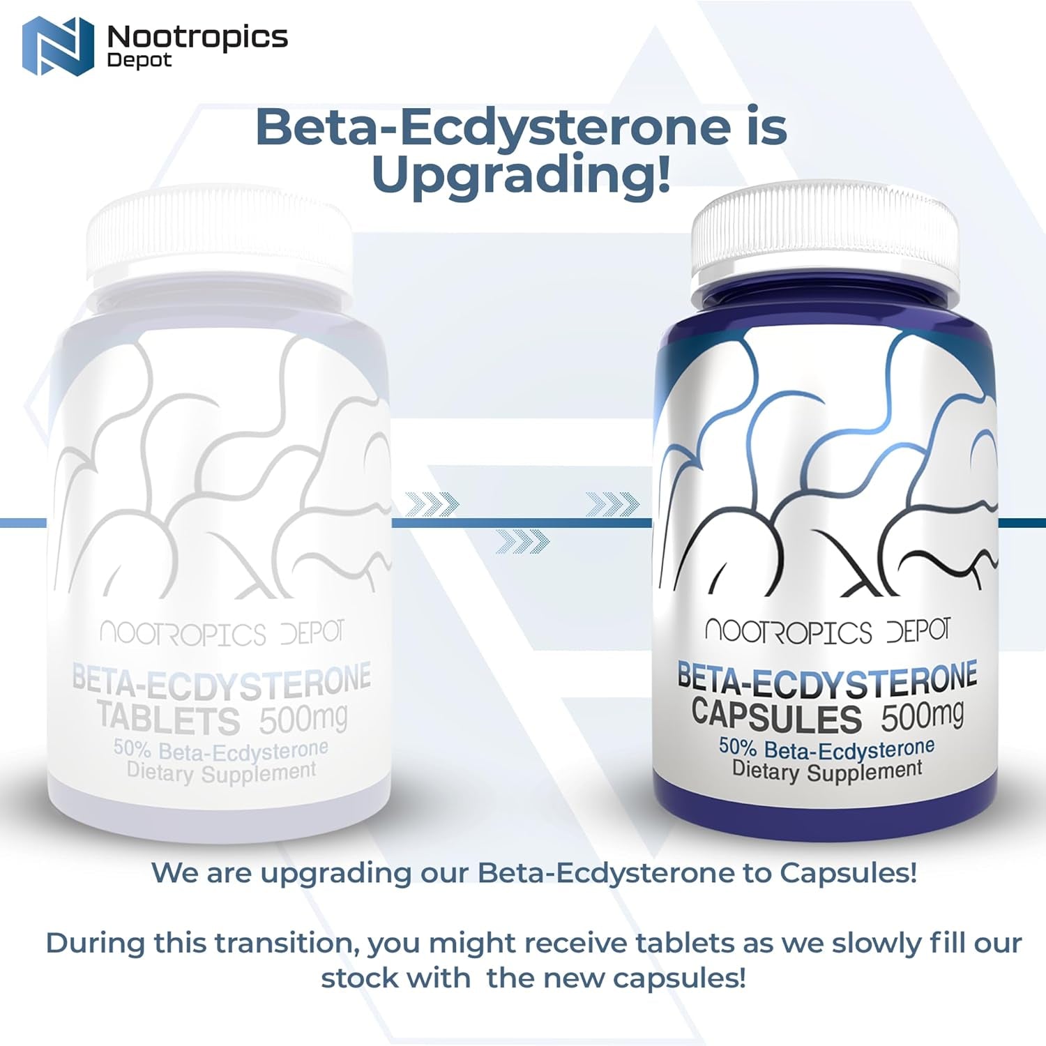 Nootropics Depot Beta Ecdysterone/20-Hydroxyecdysone 50% Capsules | 500Mg | Cyanotis Arachnoidea Extract | Phytoecdysteroid | 30 Count