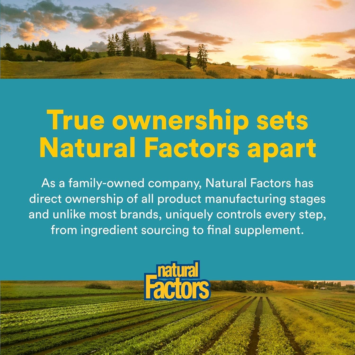 Natural Factors - Phosphatidyl Choline (PC) 420Mg, Supports Healthy Liver Function, 90 Soft Gels