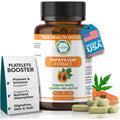 Papaya Leaf Extract 500 Mg for Hair, Skin with 4X Extra Strength Support Blood Platelet with 60 Capsules for 60 Days Supports Digestive Health & Natural Antioxidant