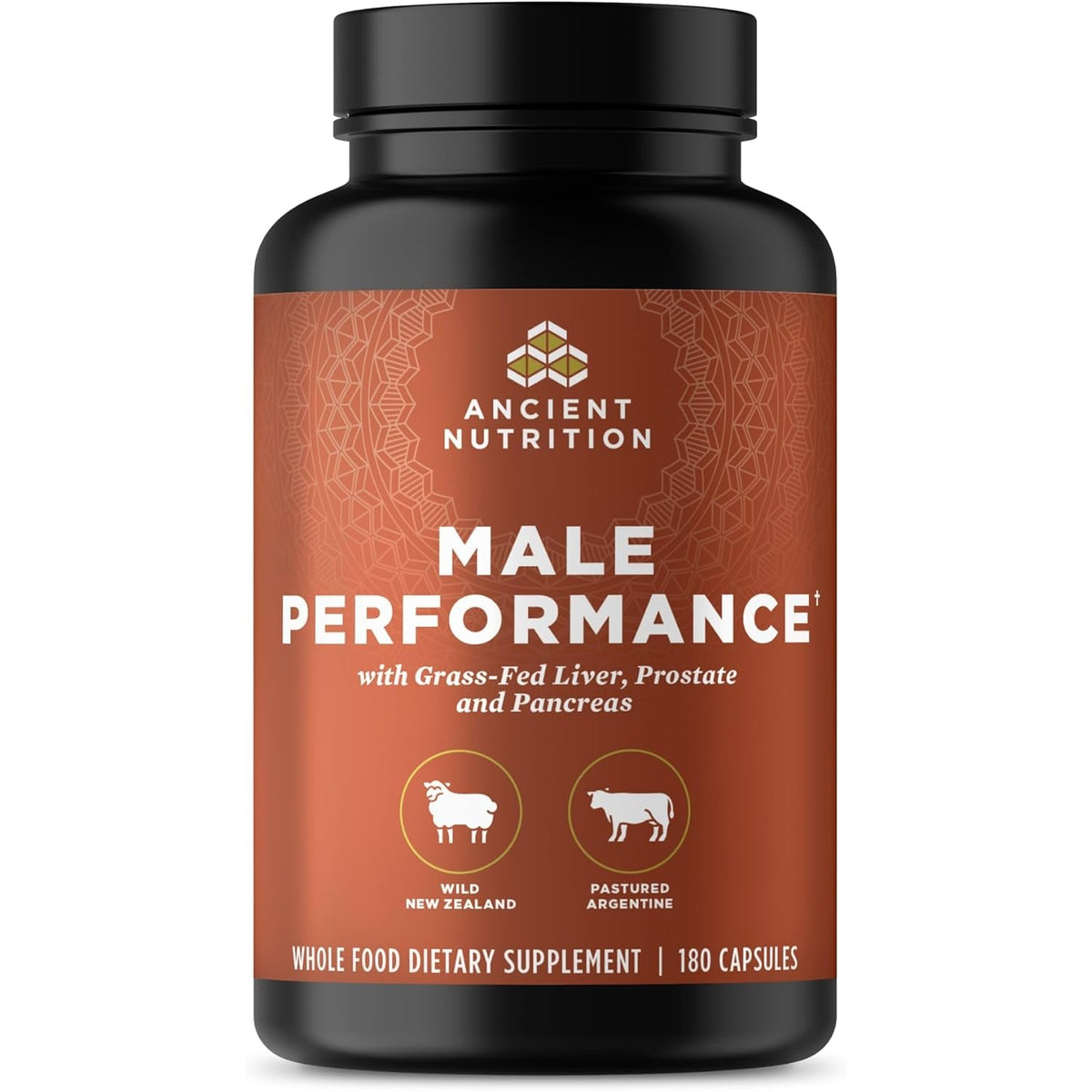 Ancient Nutrition Organ Supplements for Men, Grass-Fed and Wild Organ Complex Capsules, Liver, Prostate, Pancreas Supports Male Performance, Healthy Aging, 180 Ct