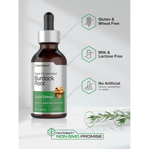 Horbäach Burdock Root Tincture | 2 Fl Oz | Super Concentrated Herb Extract | Vegetarian, Non-Gmo, Glutren Free, Alcohol Free