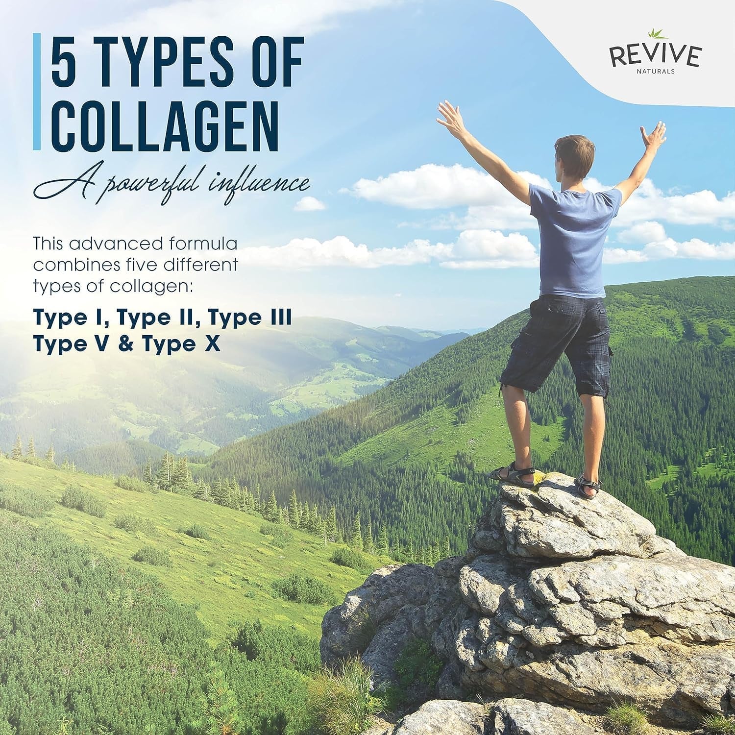 Revive Naturals Multi Collagen Hydrolyzed Protein Powder (16Oz) - Types I, II, III, V & X - Grass Fed Bovine, Wild Caught Marine, Free Roaming Chicken & Eggshell Collagen Peptides,