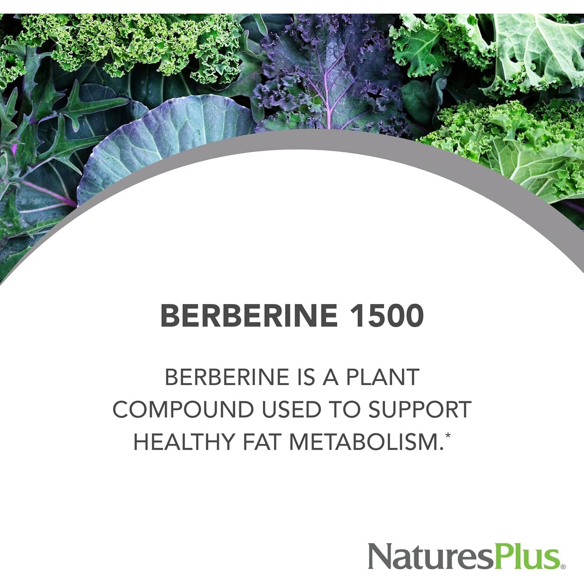 Naturesplus PRO Berberine 1500 Mg - 60 Tablets - Supports Healthy Metabolism - Non-Gmo, Vegan & Gluten Free - 30 Servings