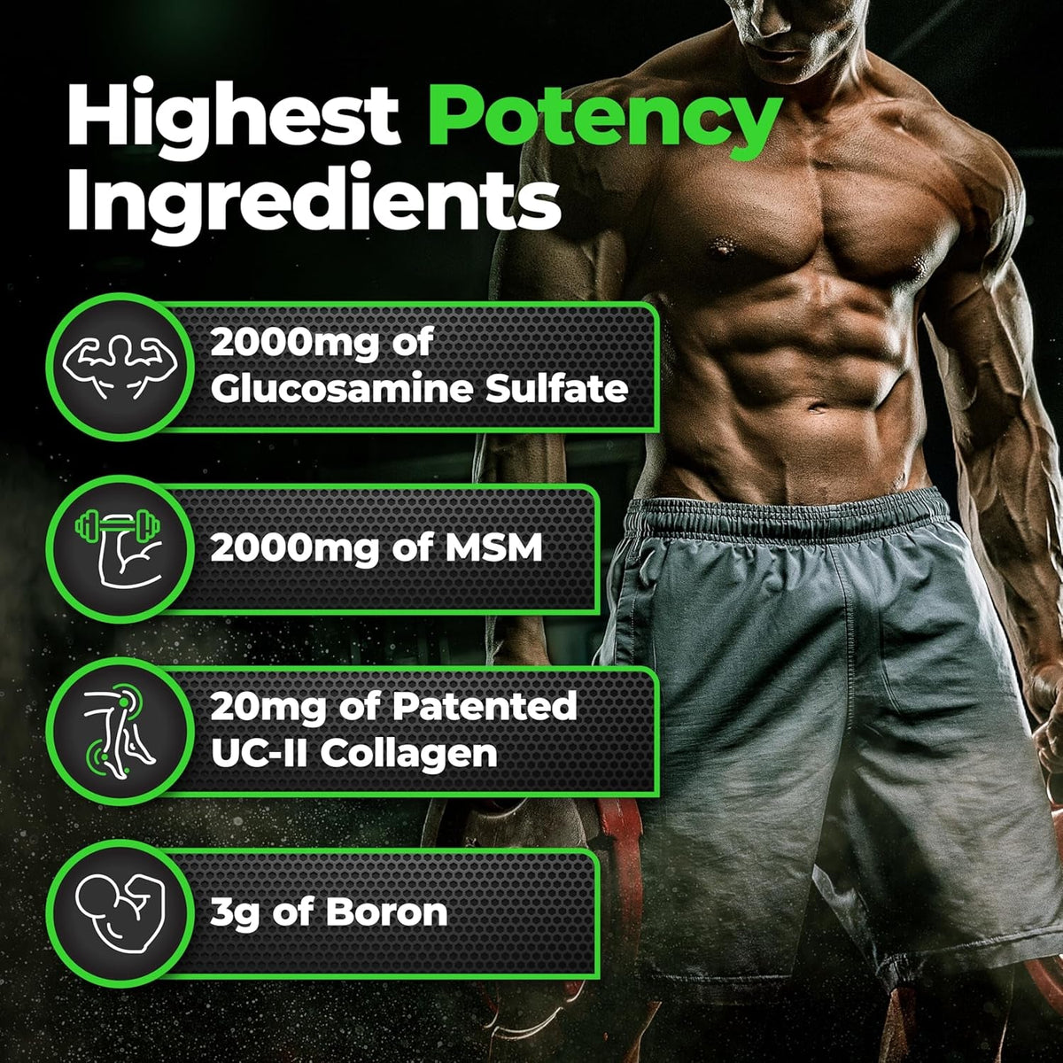 Species Nutrition Arthrolyze Joint Repair Supplement, Fortified with UC-II Collagen, MSM, Glucosamine, Chondroitin, High Potency Connective Tissue & Joint Support (300 Capsules)