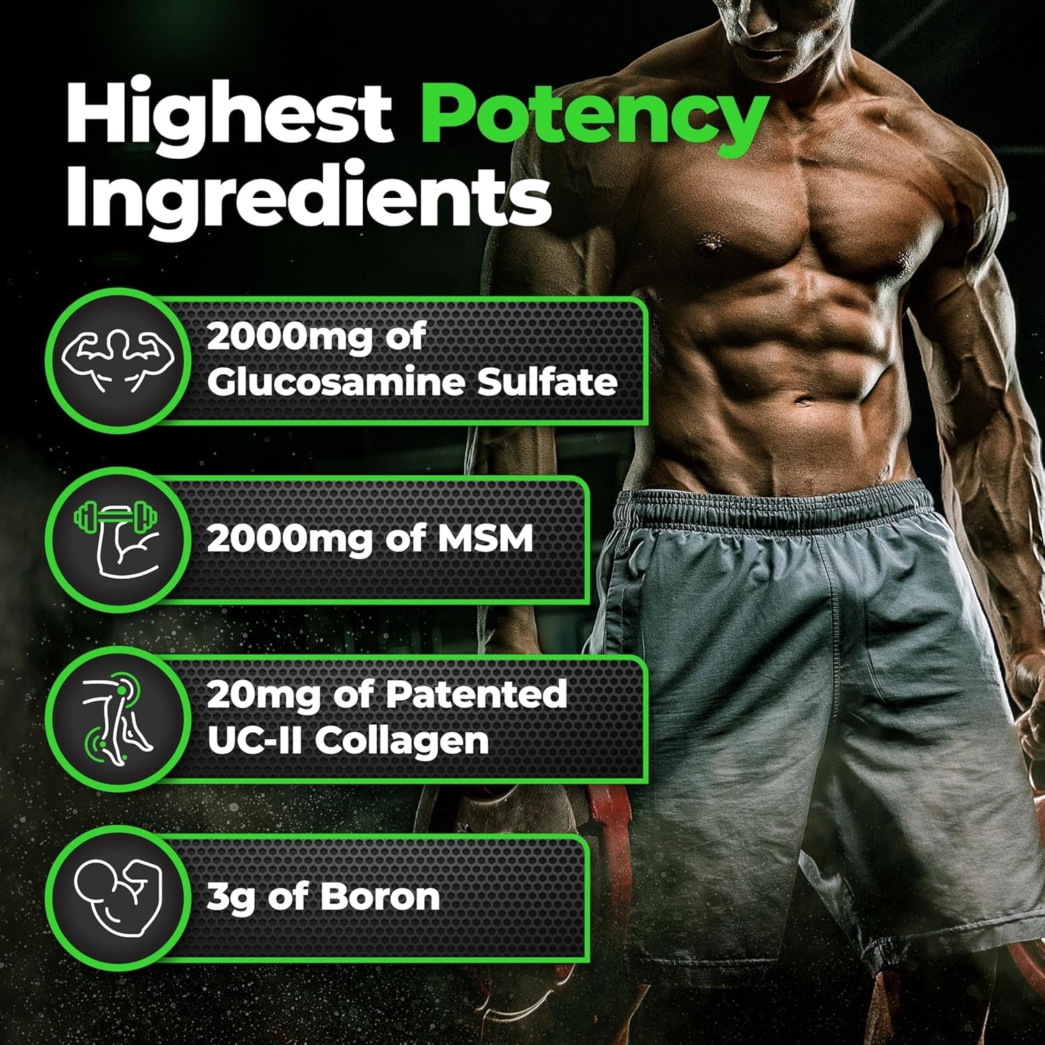 Species Nutrition Arthrolyze Joint Repair Supplement, Fortified with UC-II Collagen, MSM, Glucosamine, Chondroitin, High Potency Connective Tissue & Joint Support (300 Capsules)