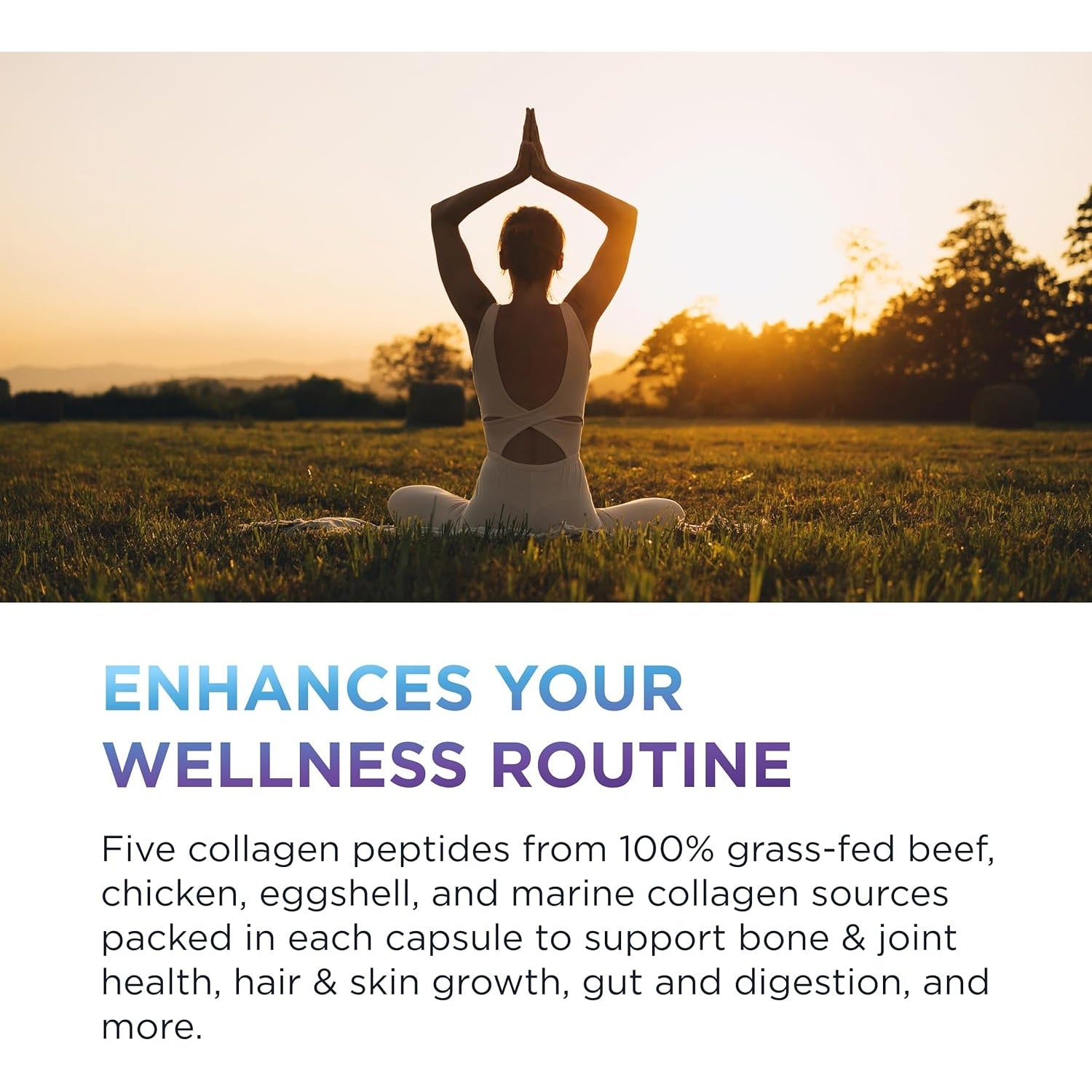 Dr. Emil Nutrition Multi Collagen - Hydrolyzed Collagen Supplement - Types I, II, III, V & X - Hair, Skin, Nails & Joint Support - Non-Gmo & Gluten-Free - 90 Capsules