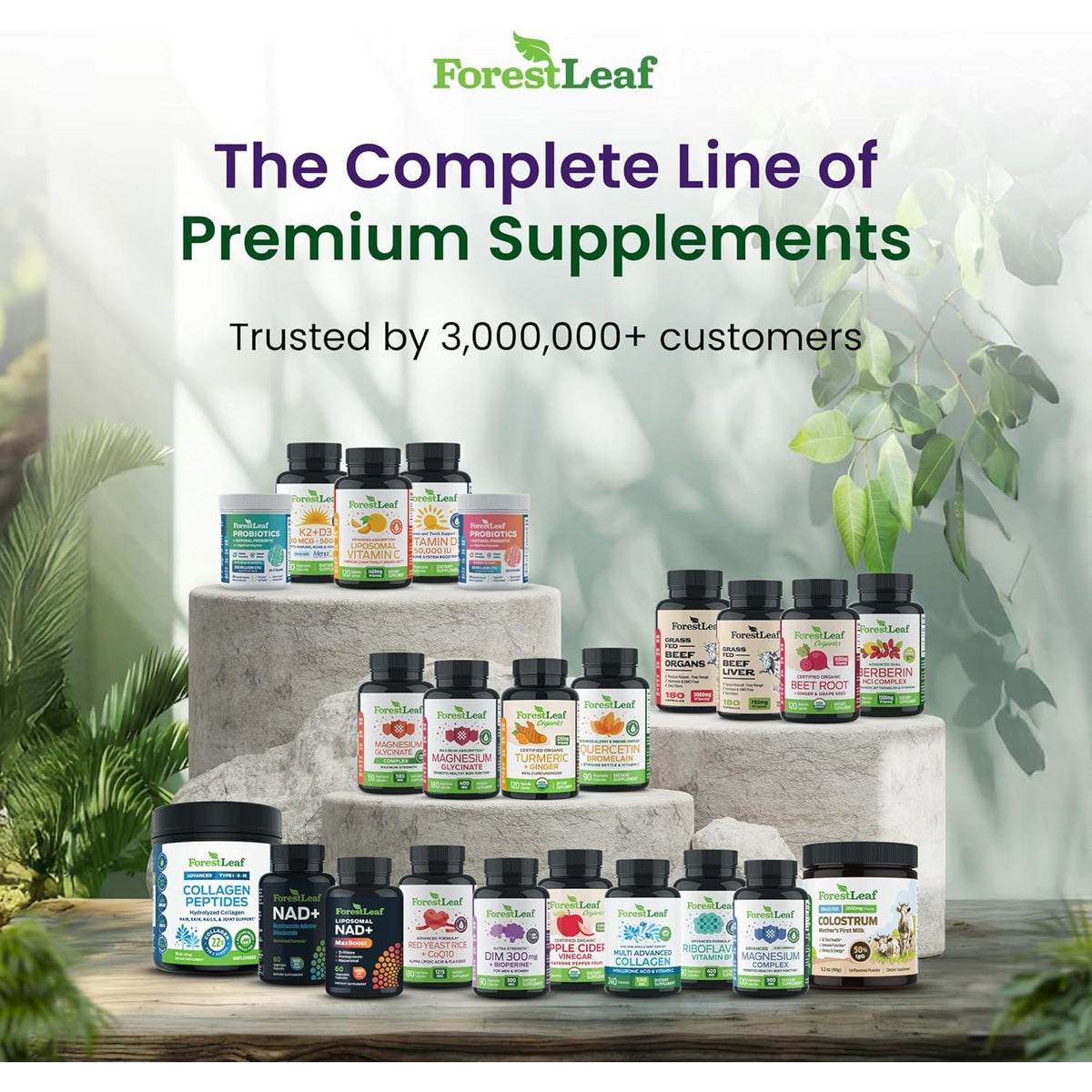 Forestleaf Glucosamine Chondroitin MSM Joint Supplement Complex - 1200Mg - 120 Caps