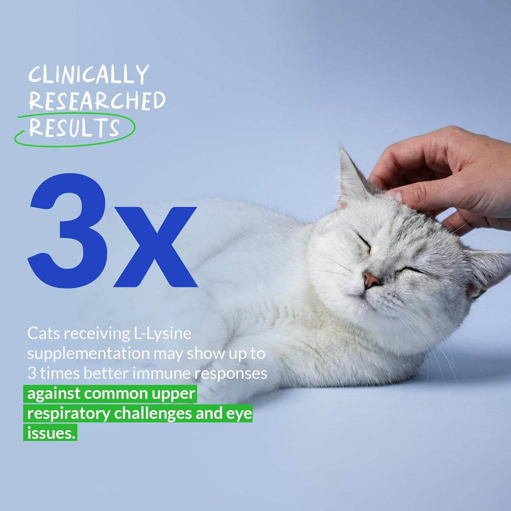 L-Lysine Supplement for Cats 900Mg/Scoop - Cat Supplement for Sneezing and Runny Nose, Cold, Immune Support, Eye Function, and Respiratory Health – Lysine Powder