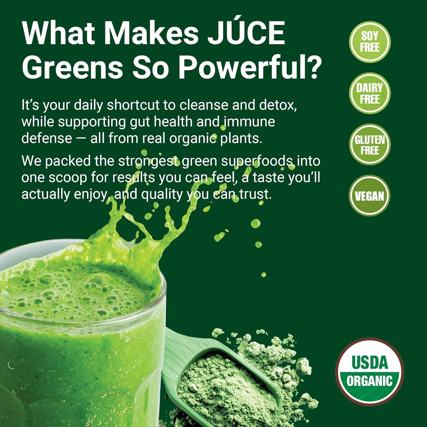 Terra Kai Organics JUCE Green Superfood Powder, Organic Fruits and Veggies Supplement W/ 77 Superfoods plus Prebiotic Probiotic Blend, Harvest Apple Flavor - 20 Servings (250 G)