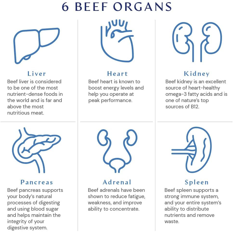 Bodyhealth Organ+ Grass-Fed Glandular Organ Complex, Grassfed Beef Organ Supplement, Dessicated Beef Liver, Heart, Kidney, Pancreas, Spleen, Non GMO, Adrenal, Supplement, (150 Capsules)