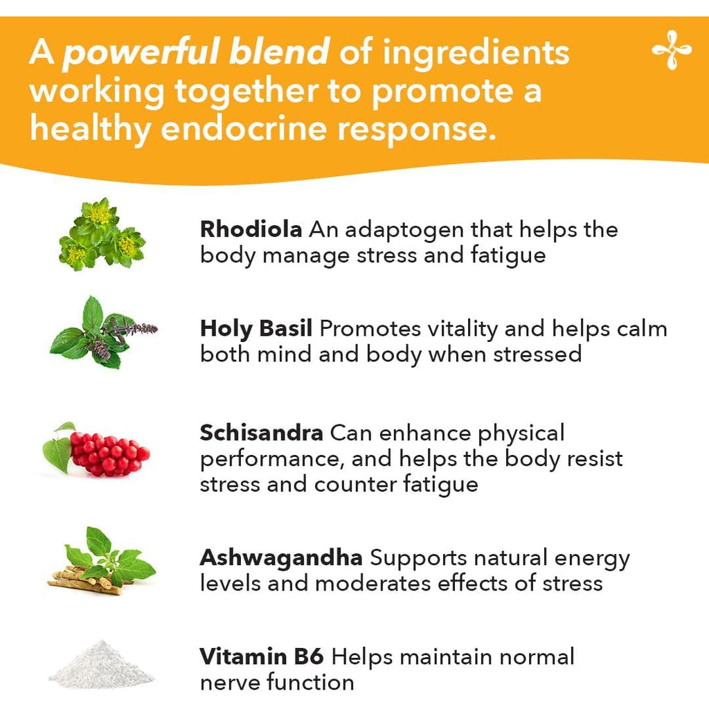 Lifeseasons Adrenal-T - Adrenal Fatigue Support Supplement - Helps Lower Cortisol - Avoid Burnout - Aids Stress Management - Energizing - with Ashwagandha Adaptogens - 60 Capsules
